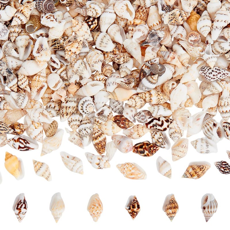 PH PandaHall 1400-1500pcs Tiny Sea Shells 7-12mm Tiny Crushed Shells Miniature Shell NO Hole Seashells Ocean Spiral Seashells for Resin Crafting Candle Home Party Wedding Fish Tank Vase Filler - Image 1